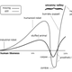 Hipotética respuesta emocional de un sujeto humano ante el antropoformismo de un robot, según los resultados de Mori. Wikimedia Commons